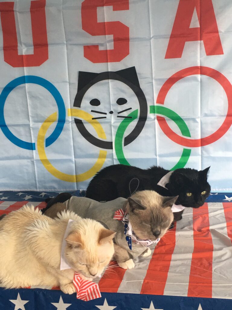 Cat Olympic Judges from Furball fables