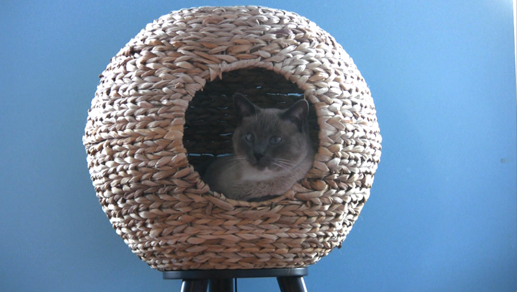 Natural sphere cat clearance tower