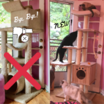 Lazy Buddy Modern Cat Tower Review