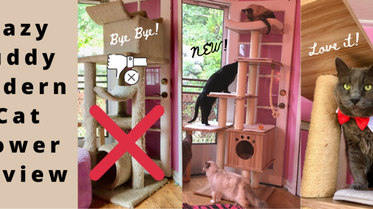Lazy Buddy Modern Cat Tower Review