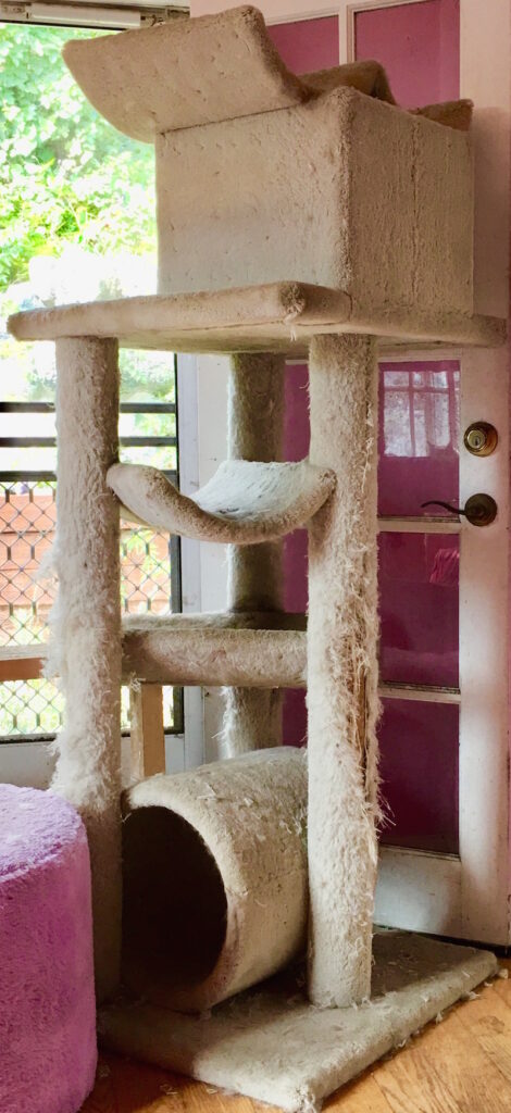 Cat tower shop for fat cats