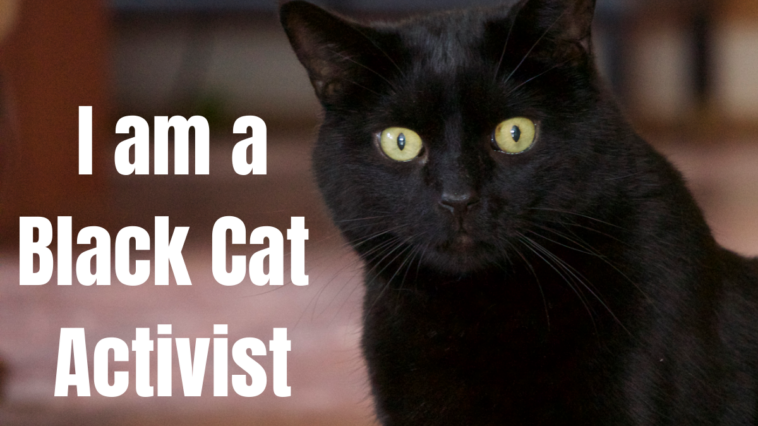 I am a Black Cat Activist Furball Fables