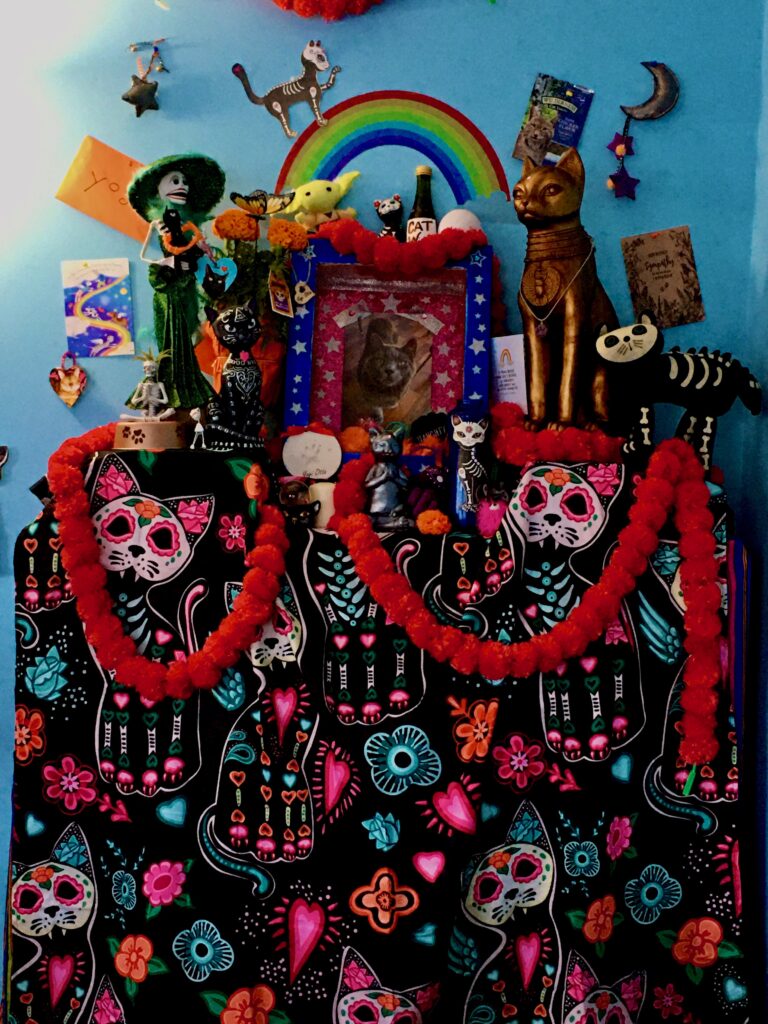 Day of the Dead Altar for a Cat