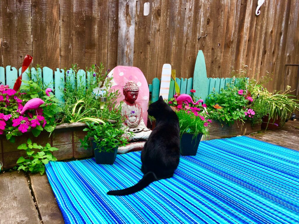 Buddha on the Furball Fables Catio