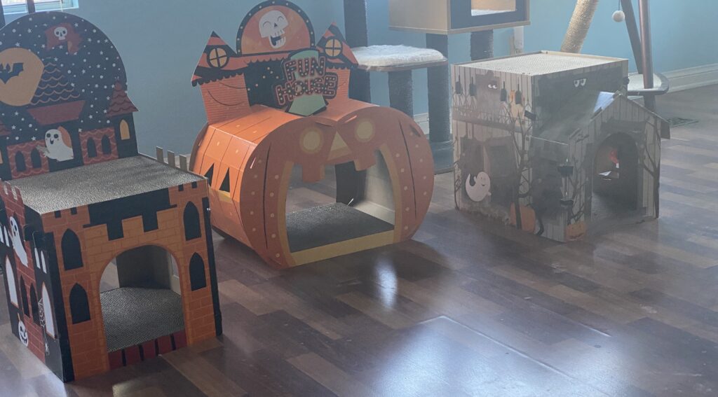 three haunted cat houses